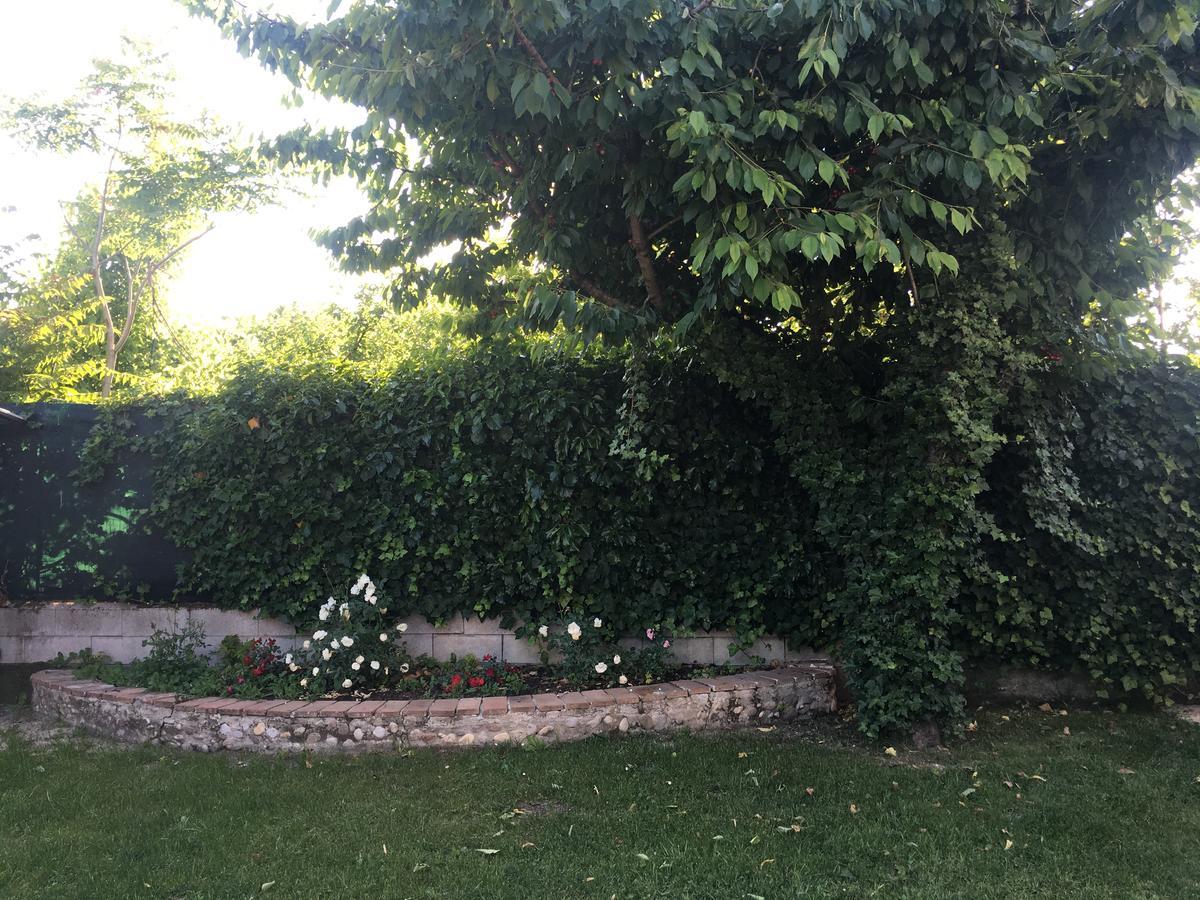 Bed and Breakfast Ca' Le Rose Bagnolo San Vito Zewnętrze zdjęcie